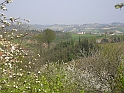 Primavera 2007_38